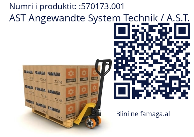   AST Angewandte System Technik / A.S.T. 570173.001
