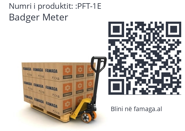   Badger Meter PFT-1E