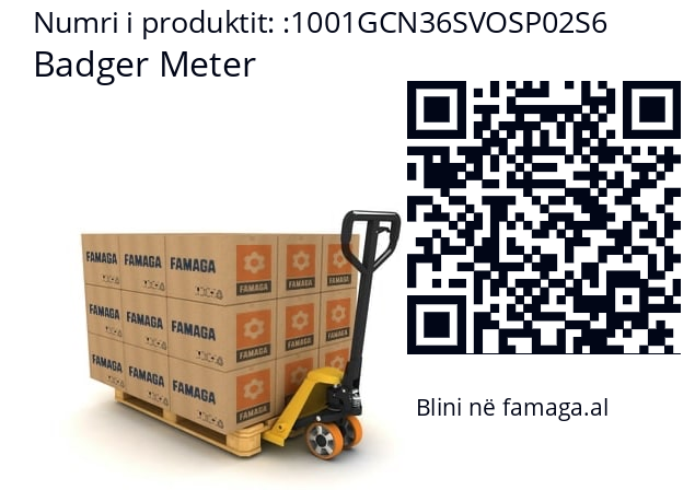   Badger Meter 1001GCN36SVOSP02S6