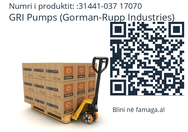   GRI Pumps (Gorman-Rupp Industries) 31441-037 17070