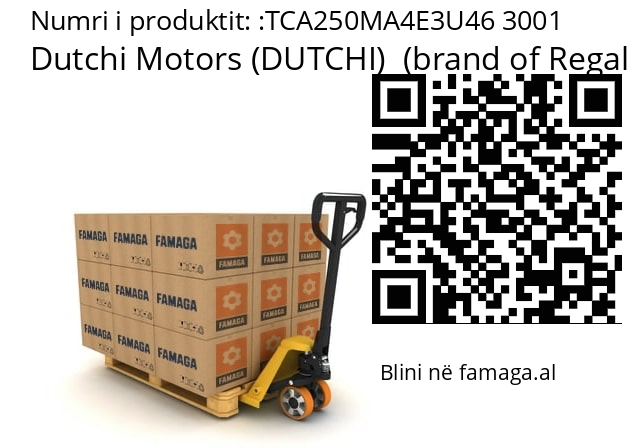   Dutchi Motors (DUTCHI)  (brand of Regal Beloit) TCA250MA4E3U46 3001