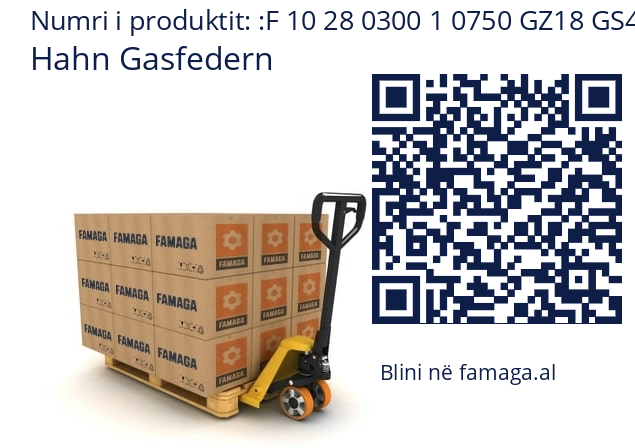   Hahn Gasfedern F 10 28 0300 1 0750 GZ18 GS40 00700N /5/6