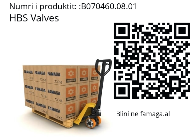   HBS Valves B070460.08.01