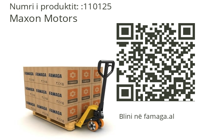   Maxon Motors 110125