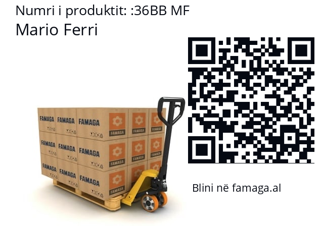   Mario Ferri 36BB MF