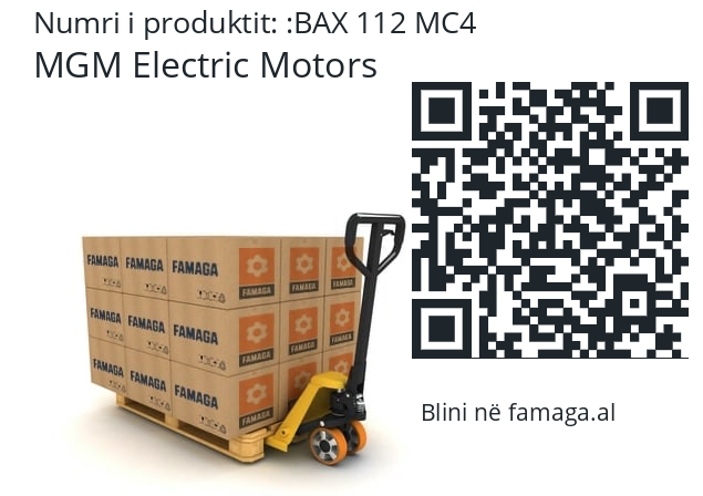   MGM Electric Motors BAX 112 MC4