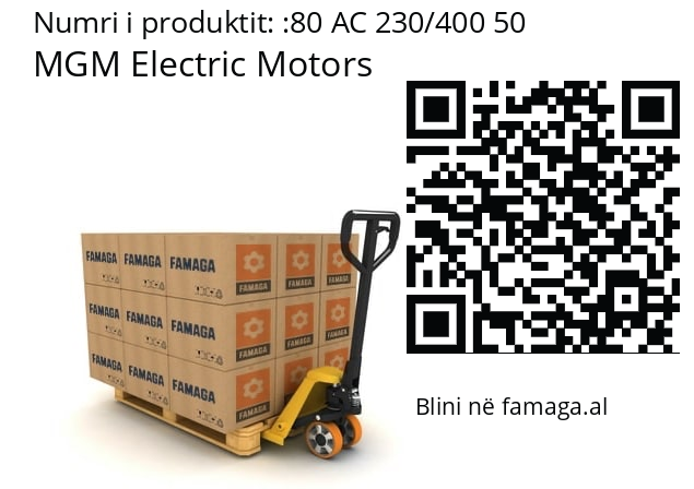   MGM Electric Motors 80 AC 230/400 50
