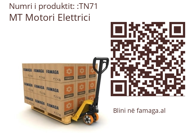   MT Motori Elettrici TN71
