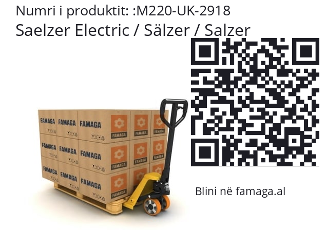   Saelzer Electric / Sälzer / Salzer M220-UK-2918