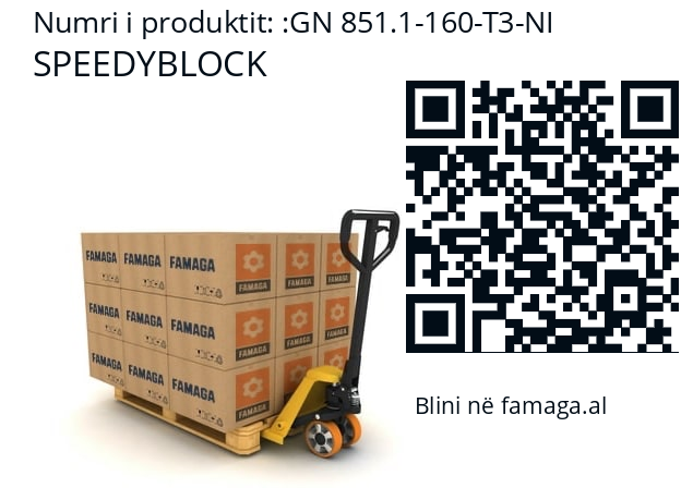   SPEEDYBLOCK GN 851.1-160-T3-NI