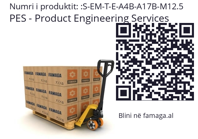   PES - Product Engineering Services S-EM-T-E-A4B-A17B-M12.5