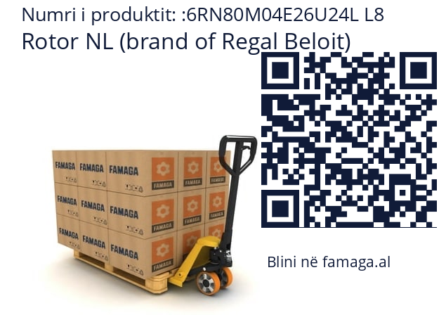   Rotor NL (brand of Regal Beloit) 6RN80M04E26U24L L8