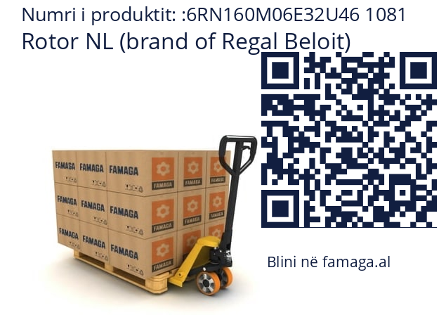   Rotor NL (brand of Regal Beloit) 6RN160M06E32U46 1081
