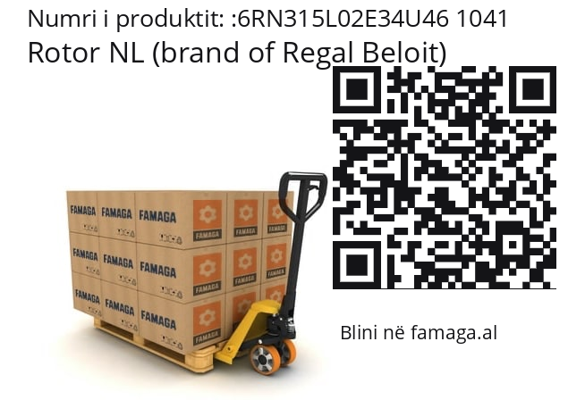   Rotor NL (brand of Regal Beloit) 6RN315L02E34U46 1041