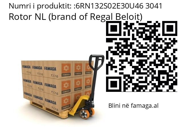   Rotor NL (brand of Regal Beloit) 6RN132S02E30U46 3041