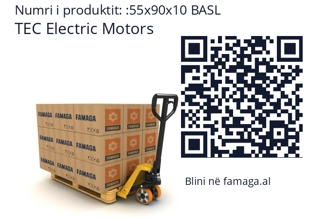   TEC Electric Motors 55x90x10 BASL