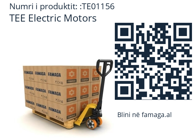   TEE Electric Motors TE01156